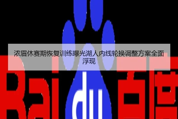 浓眉休赛期恢复训练曝光湖人内线轮换调整方案全面浮现
